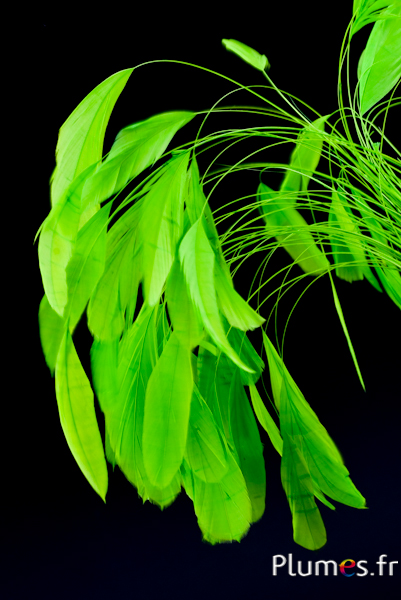 Coquetips - 13-18 cm - lime Coquetips - 13-18 cm - lime